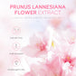 Sakura-Scented Facial Care Kit – Hydration and Softness with Every Application